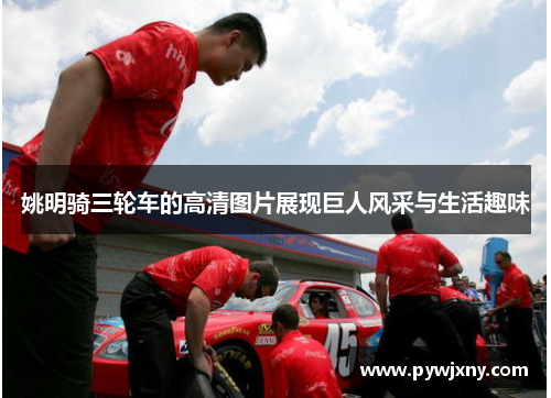 姚明骑三轮车的高清图片展现巨人风采与生活趣味