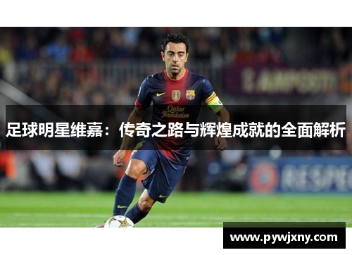 足球明星维嘉：传奇之路与辉煌成就的全面解析