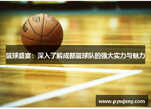 篮球盛宴：深入了解成都篮球队的强大实力与魅力