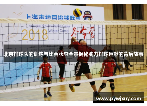 北京排球队的训练与比赛状态全景揭秘助力排球巨献的背后故事