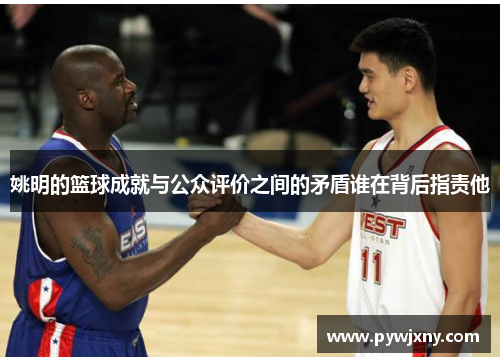 姚明的篮球成就与公众评价之间的矛盾谁在背后指责他