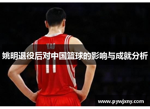 姚明退役后对中国篮球的影响与成就分析
